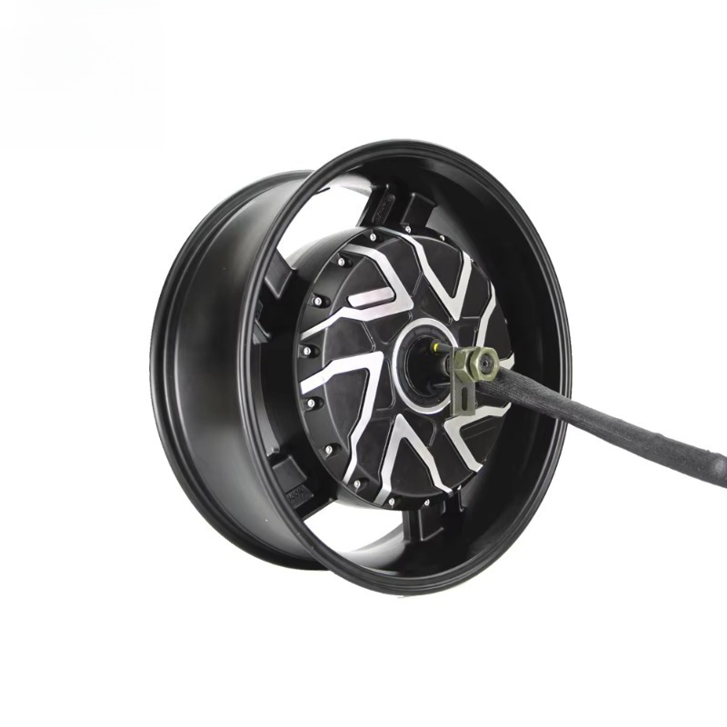 QSMOTOR 17X6.0 Inch 273 12000W - 12000W Electric Motorcycle Hub Motor ulasan dan harga