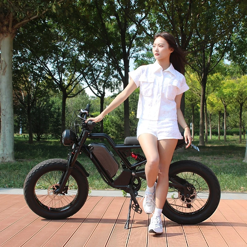 SXLL SXLL13Ah lithium battery  - 48V 1500W Rear Hub Motor With Battery ulasan dan harga